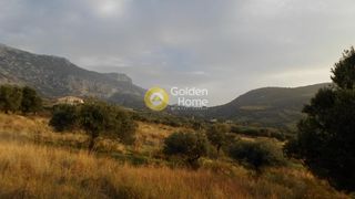 Οικόπεδο 1.171 τ.μ. για πώληση