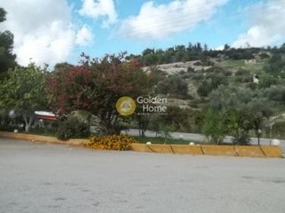 Κτίριο 800 τ.μ. για πώληση, Αργολίδα, Κρανίδι-thumb-11