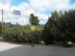 Κτίριο 800 τ.μ. για πώληση, Αργολίδα, Κρανίδι-thumb-9