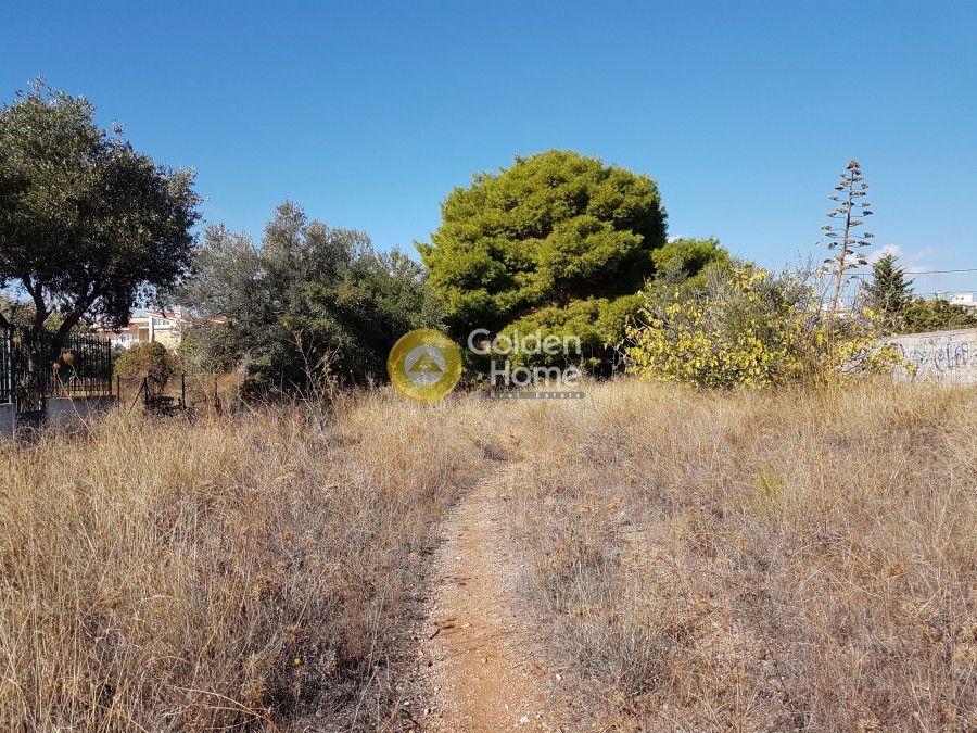 Αγροτεμάχια 1.706 τ.μ. πρός ενοικίαση, Αθήνα - Βόρεια Προάστια, Χαλάνδρι