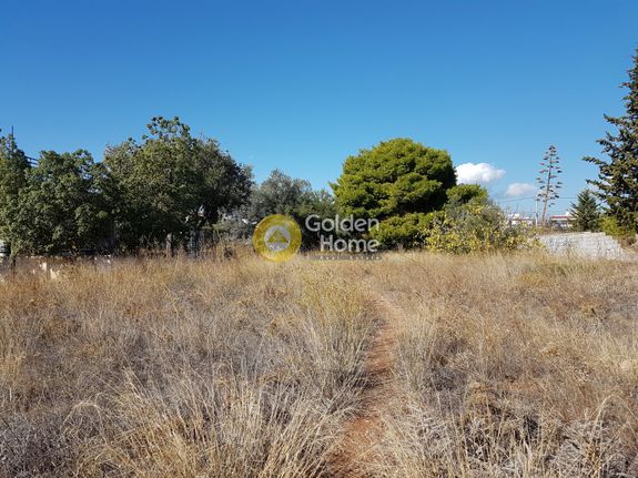 Αγροτεμάχια 1.706 τ.μ. για ενοικίαση, Αθήνα - Βόρεια Προάστια, Χαλάνδρι