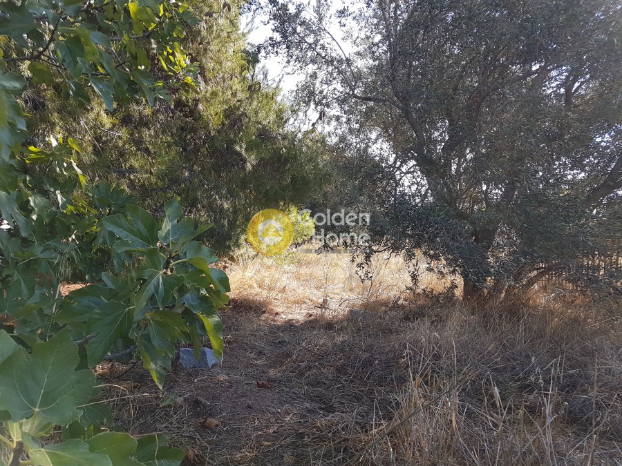 Αγροτεμάχια 1.706 τ.μ. πρός ενοικίαση, Αθήνα - Βόρεια Προάστια, Χαλάνδρι