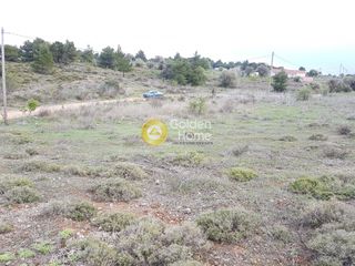 Αγροτεμάχια 4.000 τ.μ. προς πώληση