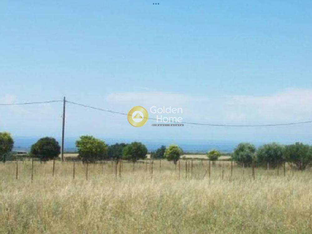 Οικόπεδο 680 τ.μ. προς πώληση, Νέα Γωνιά
