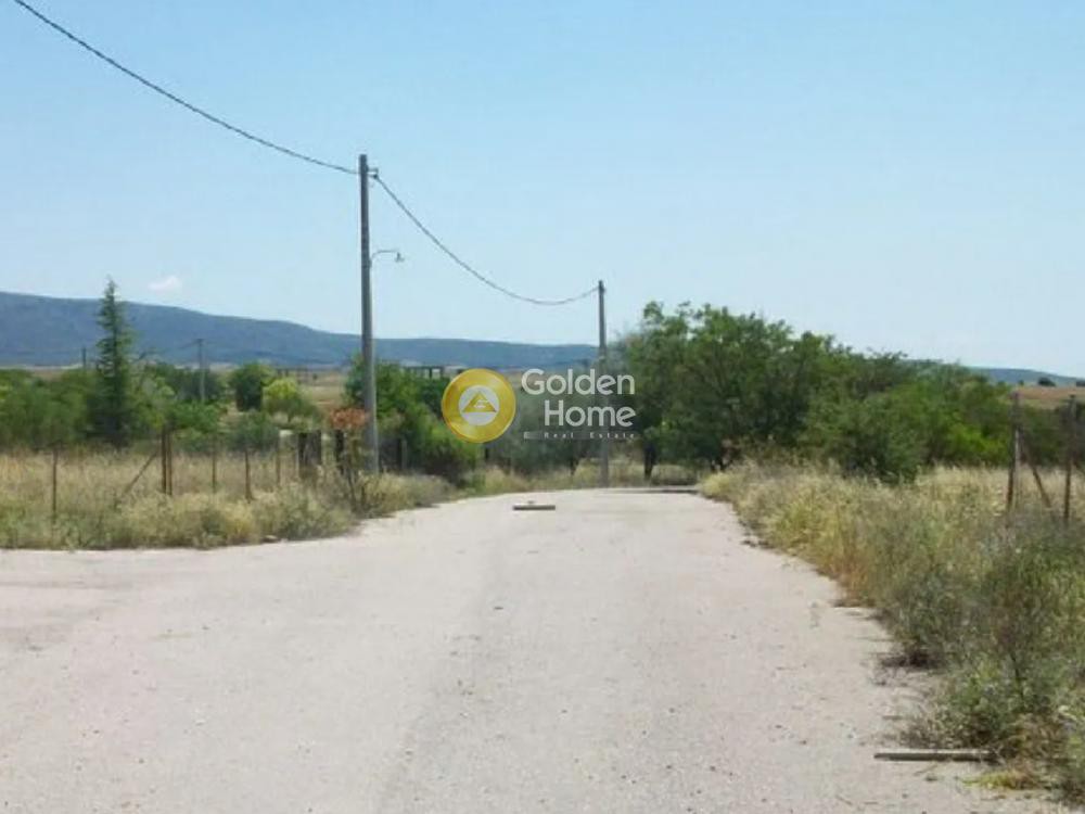 Οικόπεδο 680 τ.μ. προς πώληση, Νέα Γωνιά