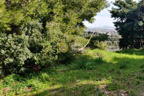 Οικόπεδο 2.800 τ.μ. για πώληση