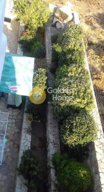 Ξενοδοχείο 698 τ.μ. προς πώληση, Διακόφτι