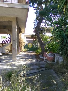 Detached home 226 sqm for sale