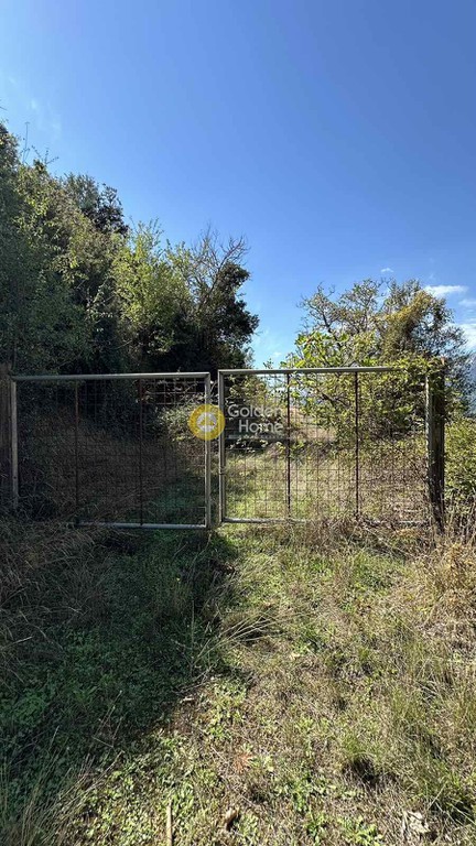 Οικόπεδο 840 τ.μ. προς πώληση, Μεσινό
