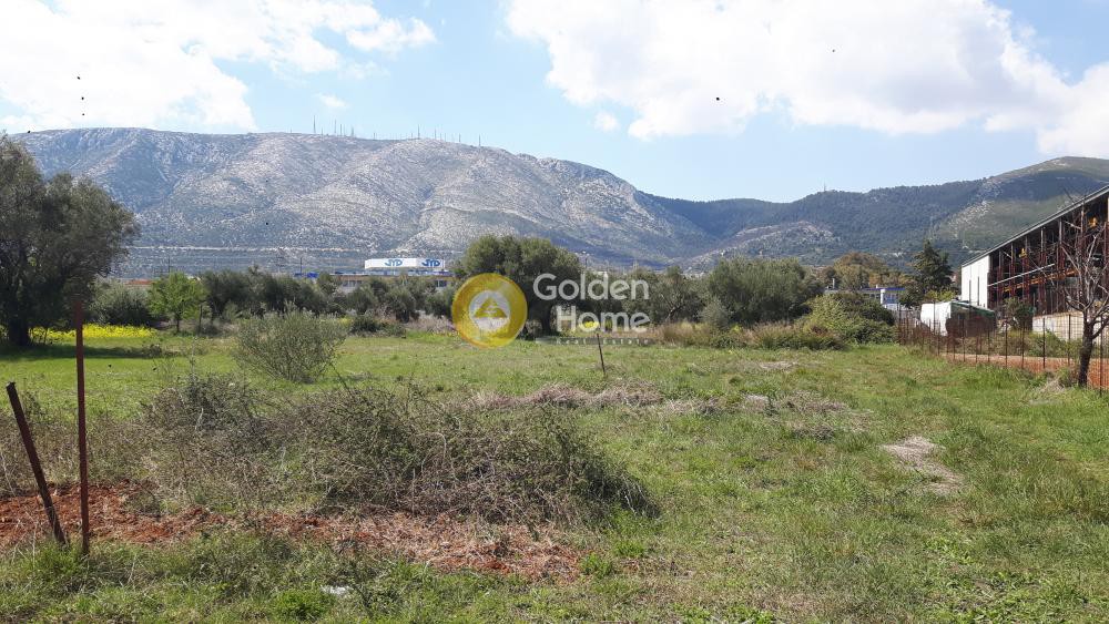 Οικόπεδο 809 τ.μ. προς πώληση, Όσιος Λουκάς