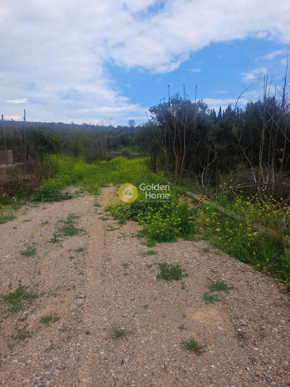 Οικόπεδο 388 τ.μ. προς πώληση, Κιούρκα