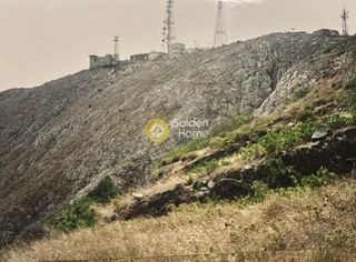 Αγροτεμάχια 2.660 τ.μ. για πώληση