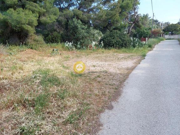 Αγροτεμάχια 1.023 τ.μ. για πώληση, Αττική - Υπόλοιπο, Ραφήνα