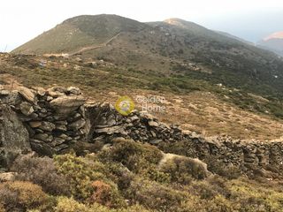 Αγροτεμάχια 70.000 τ.μ. για πώληση