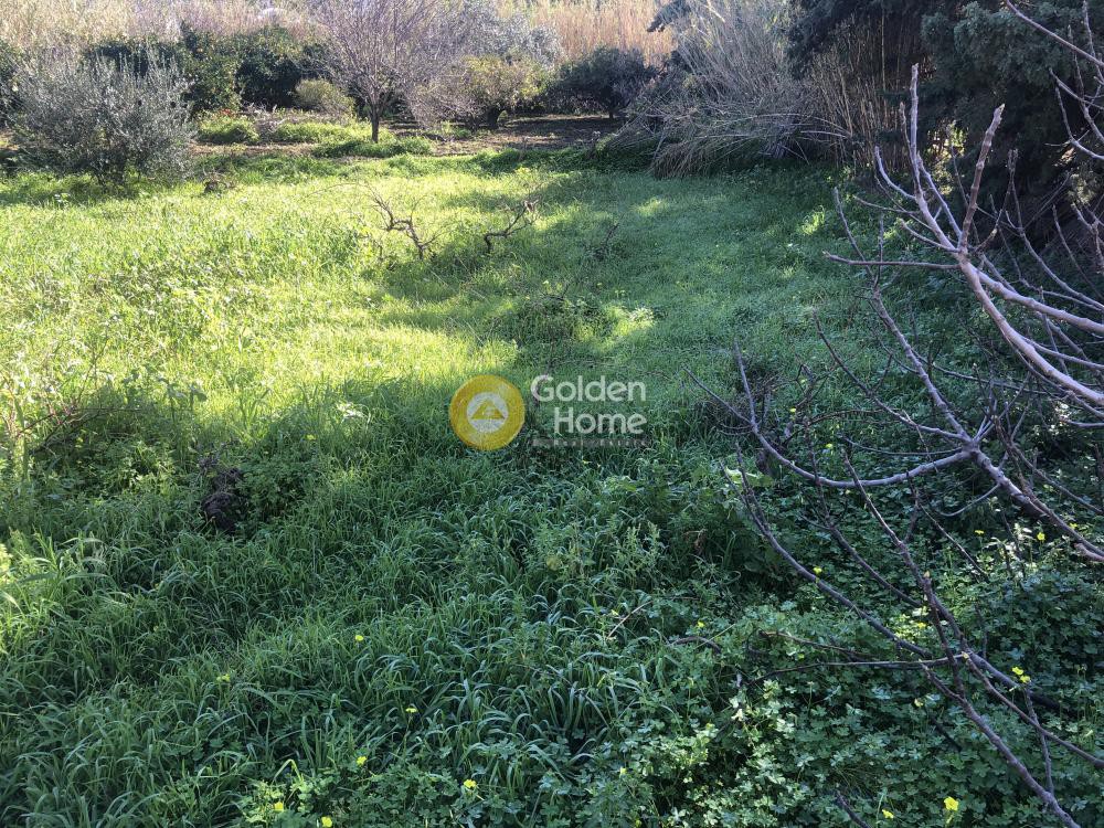 Αγροτεμάχια 500 τ.μ. προς πώληση, Παροικιά