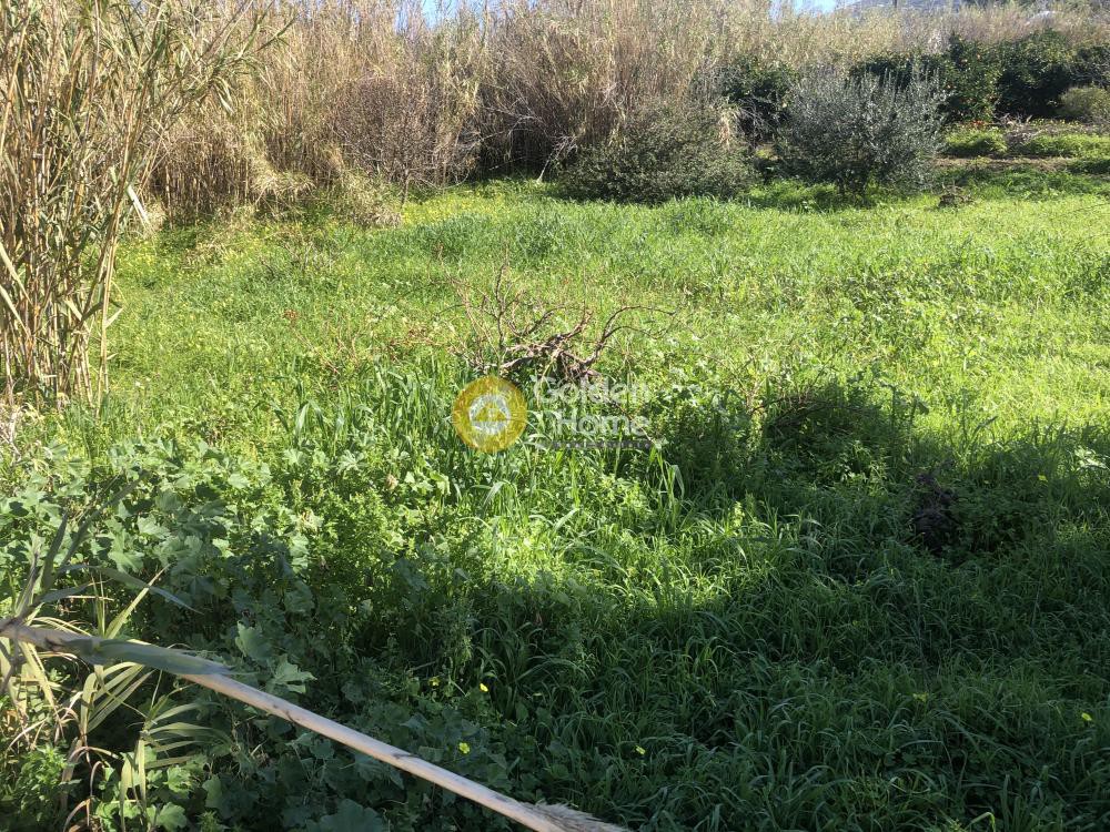 Αγροτεμάχια 500 τ.μ. προς πώληση, Παροικιά