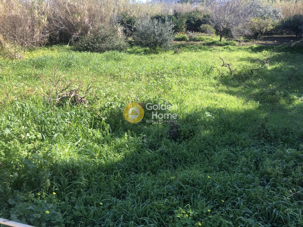 Αγροτεμάχια 500 τ.μ. προς πώληση, Παροικιά