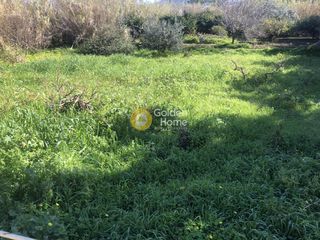 Αγροτεμάχια 500 τ.μ. για πώληση