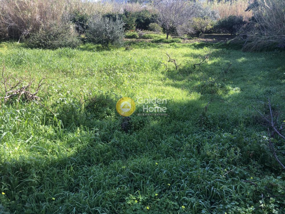 Αγροτεμάχια 500 τ.μ. προς πώληση, Παροικιά