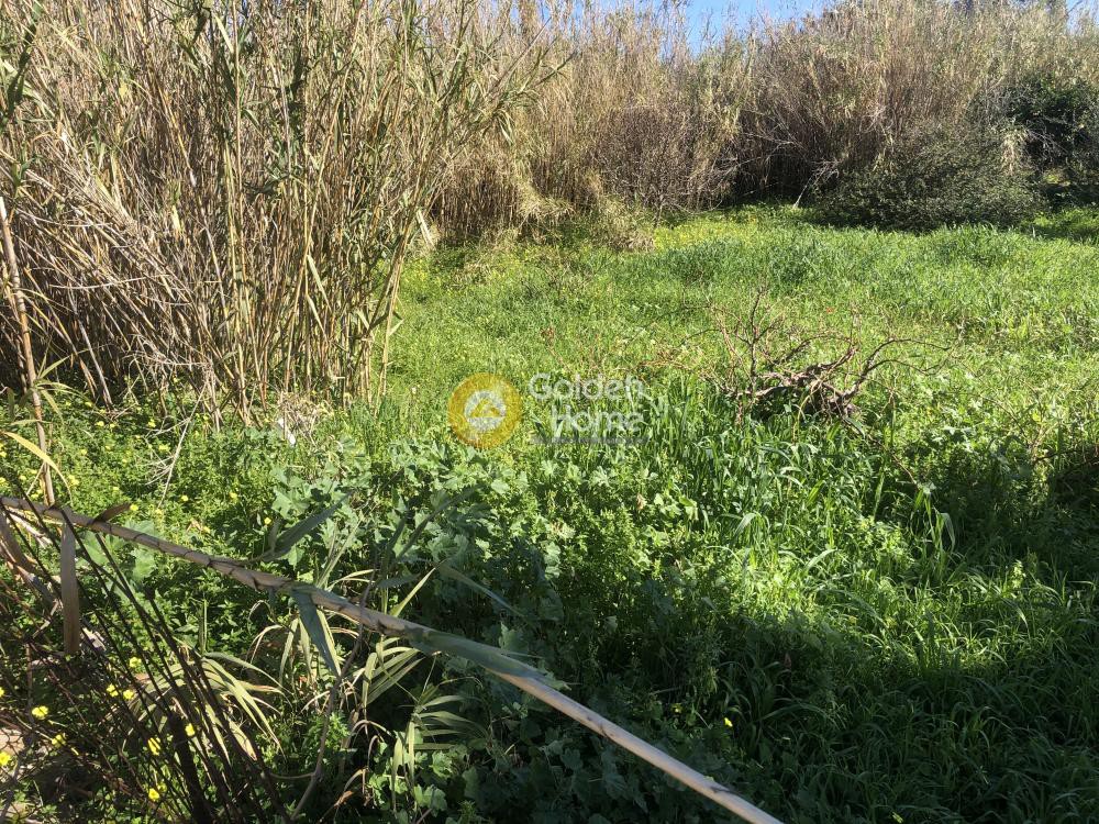 Αγροτεμάχια 500 τ.μ. προς πώληση, Παροικιά