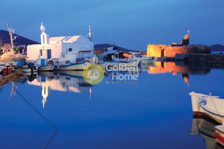 Αγροτεμάχια 65.000 τ.μ. για πώληση