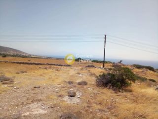 Αγροτεμάχια 2.100 τ.μ. για πώληση