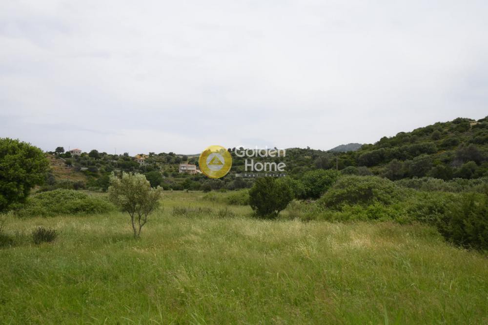 Οικόπεδο 4.400 τ.μ. για πώληση, Εύβοια, Δίρφυς