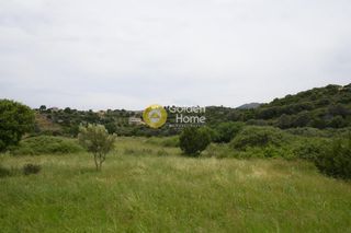 Οικόπεδο 4.400 τ.μ. για πώληση