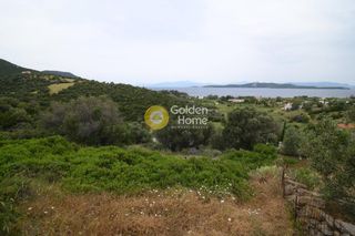 Οικόπεδο 4.400 τ.μ. προς πώληση, Μίστρος-thumb-2