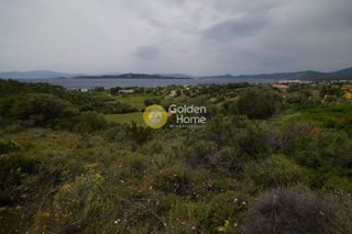 Οικόπεδο 4.400 τ.μ. προς πώληση, Μίστρος-thumb-1