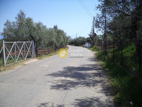 Οικόπεδο 1.200 τ.μ. για πώληση