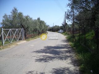 Οικόπεδο 1.200 τ.μ. για πώληση