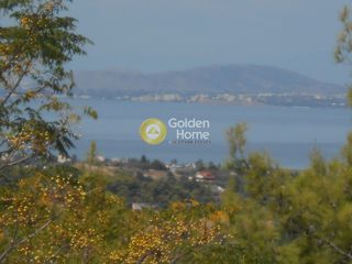 Επιχειρηματικό κτίριο 1.850 τ.μ. για πώληση