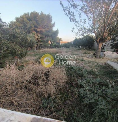 Οικόπεδο 600 τ.μ. για πώληση, Αθήνα - Ανατολικά Προάστια, Κορωπί