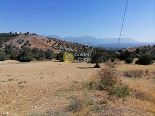 Οικόπεδο 1.750 τ.μ. για πώληση