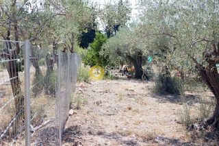 Οικόπεδο 1.100 τ.μ. για πώληση, Αργολίδα, Ασίνη-thumb-1