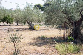 Οικόπεδο 1.100 τ.μ. για πώληση, Αργολίδα, Ασίνη-thumb-3