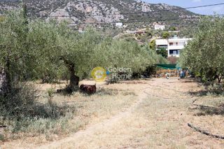 Οικόπεδο 1.100 τ.μ. για πώληση, Αργολίδα, Ασίνη-thumb-10