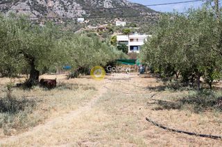 Οικόπεδο 1.100 τ.μ. για πώληση, Αργολίδα, Ασίνη-thumb-8