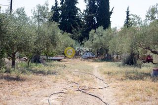 Οικόπεδο 1.100 τ.μ. για πώληση, Αργολίδα, Ασίνη-thumb-7