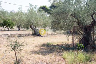 Οικόπεδο 1.100 τ.μ. για πώληση, Αργολίδα, Ασίνη-thumb-5