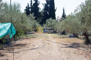 Οικόπεδο 1.100 τ.μ. για πώληση, Αργολίδα, Ασίνη-thumb-2