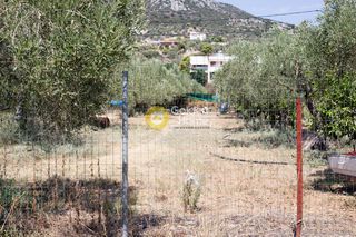 Οικόπεδο 1.100 τ.μ. για πώληση, Αργολίδα, Ασίνη-thumb-9