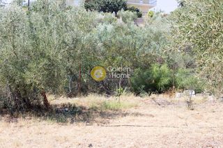 Οικόπεδο 1.100 τ.μ. για πώληση, Αργολίδα, Ασίνη-thumb-6