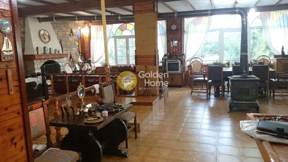 Μονοκατοικία 335 τ.μ. προς πώληση, Κοκκινιάς