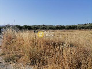 Οικόπεδο 2.600 τ.μ. για πώληση