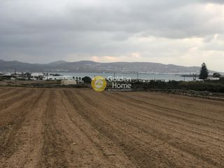 Αγροτεμάχια 18.000 τ.μ. για πώληση