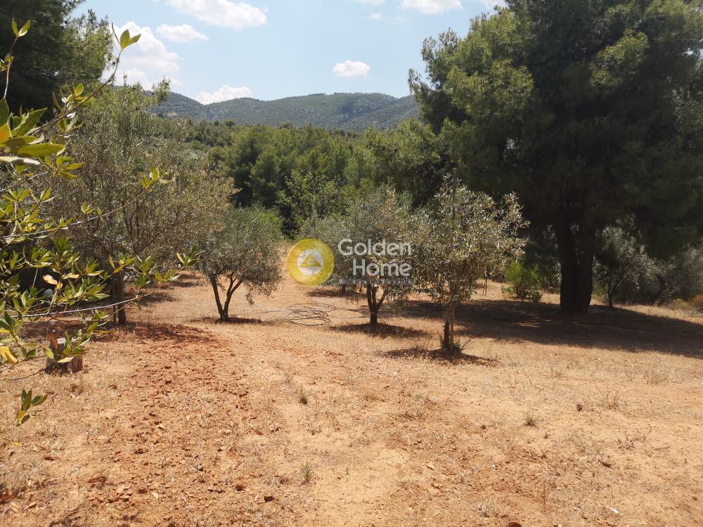 Μονοκατοικία 107 τ.μ. προς πώληση, Νέα Πολιτεία Ωρωπού