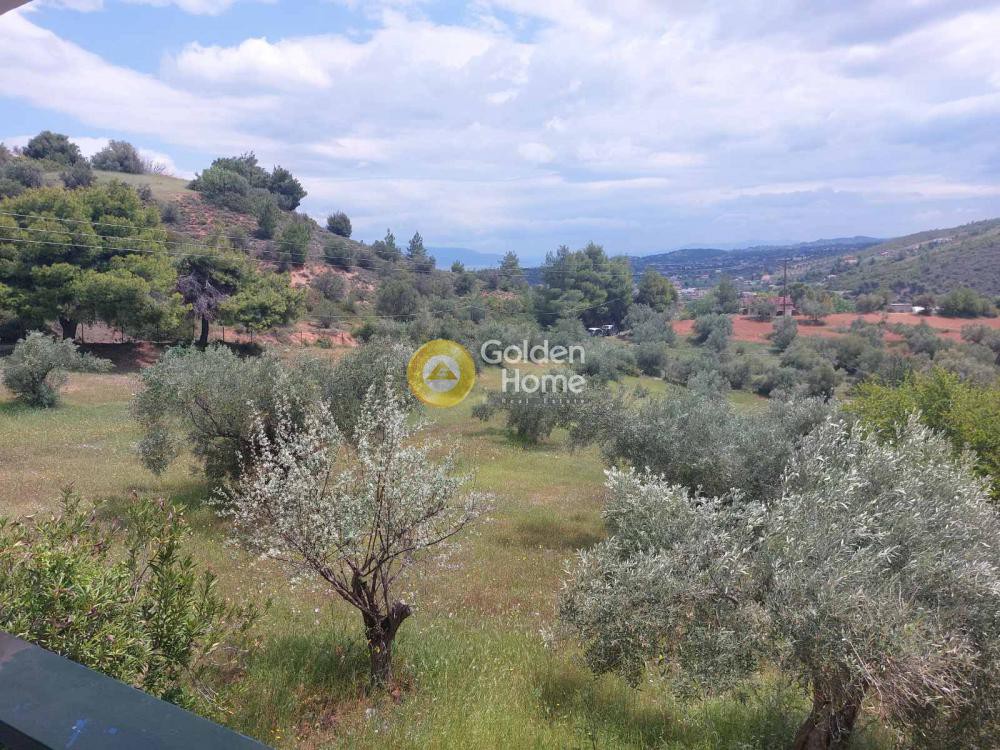 Μονοκατοικία 140 τ.μ. προς πώληση, Κατηφόρι