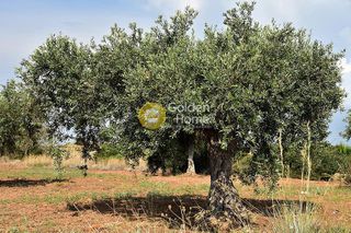 Οικόπεδο 10.042 τ.μ. για πώληση